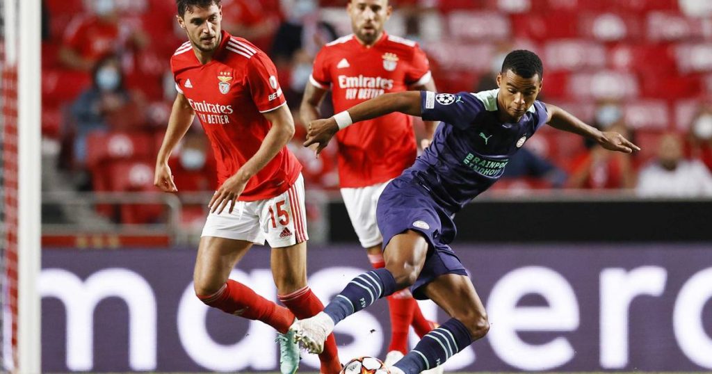 PSV lose 2-1 to Benfica but can be brave from a good second half |  sports