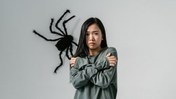 This app tackles spider fear: virtual spiders crawl on your hand