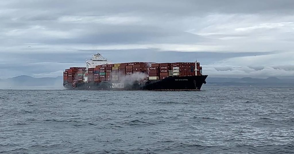 Fire on a container ship carrying hazardous materials off the Canadian coast: Toxic substances in sea water |  News