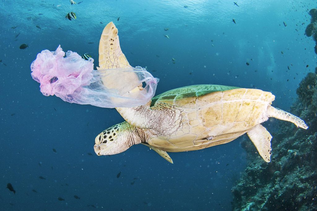 The United States, the world's largest producer of plastic waste ...