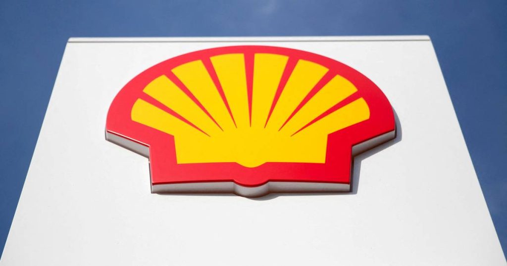 Judge blocks Shell from conducting seismic survey in South Africa |  abroad