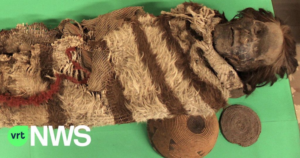 Lice eggs on ancient mummies preserve human DNA and shed new light on South American history