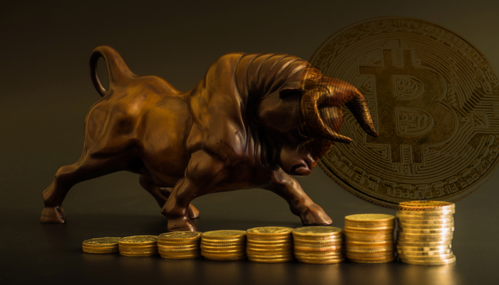 Bitcoin bull-markt begint pas weer eind 2024, zegt exchange CEO