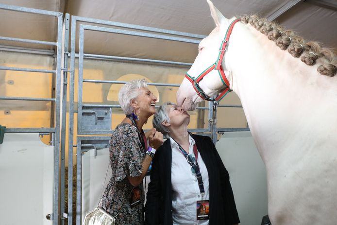 Actresses Danni Heylen and Martine Jonckheere feel completely at home with horses.  