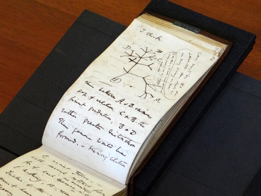 Stolen Darwin notebooks return as Easter gifts