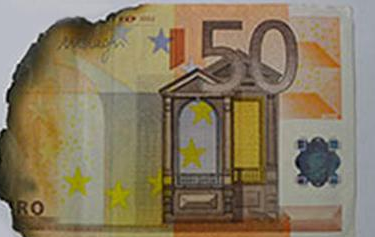 A puppy bites a 1100 euro banknote, and fortunately there is a solution