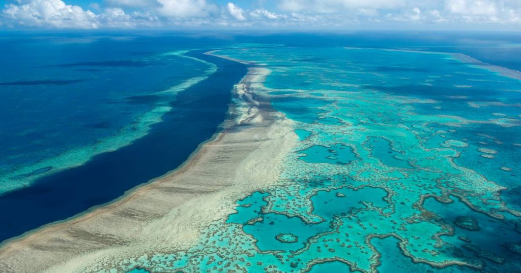 Over 90 percent of the Great Barrier Reef has been bleached by a heat wave outside the country