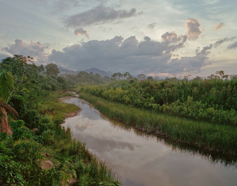 The Amazon was not uninhabited by anything: ancient cities were discovered