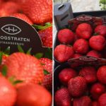 This way the strawberries will stay fresh and full of flavour: “You don’t have to add sugar to it” |  food