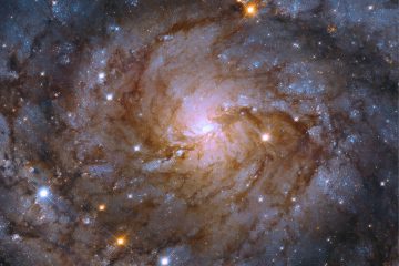 NASA's Hubble Space Telescope sees a galaxy hidden behind the Milky Way