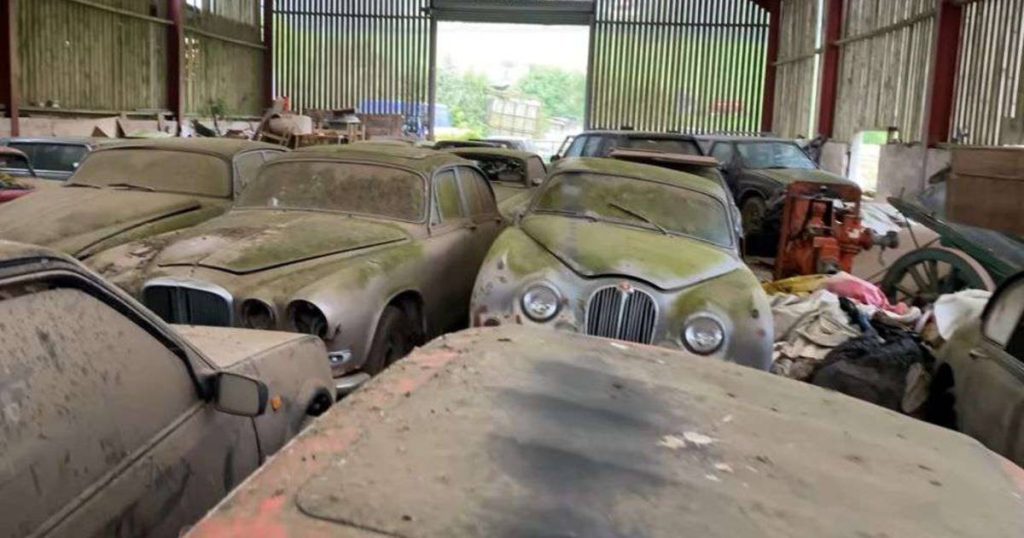From Jaguar to Bentley: a gigantic barn in England wows enthusiasts |  to cut