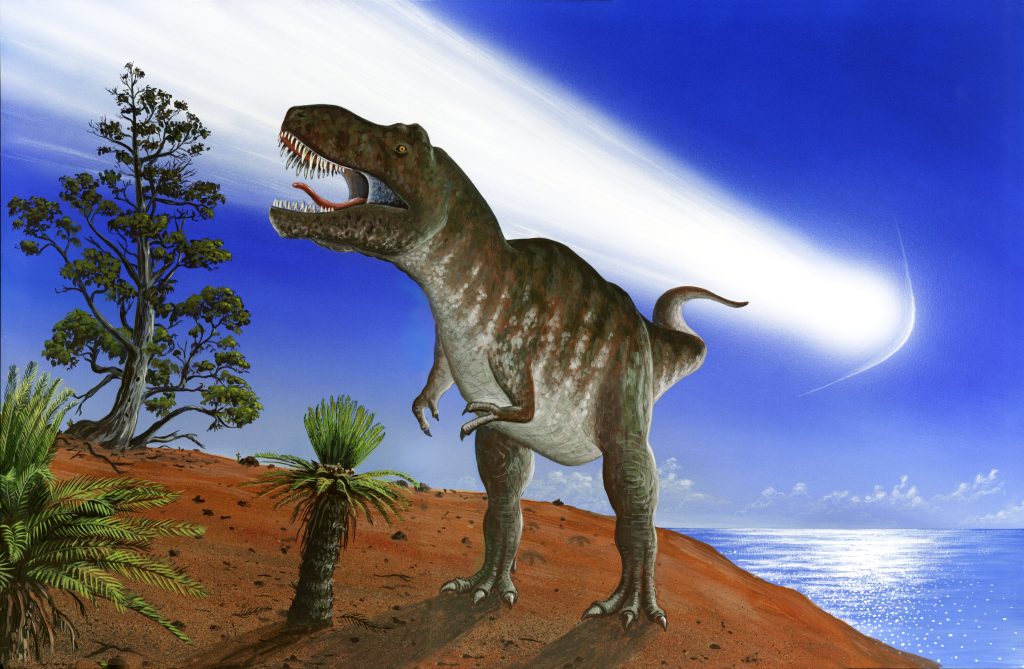 Is this the real reason Tyrannosaurus Rex had such small arms?  - Will