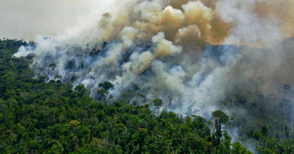 The second most devastating month of May due to the Amazon fires: Probably set on purpose |  Abroad