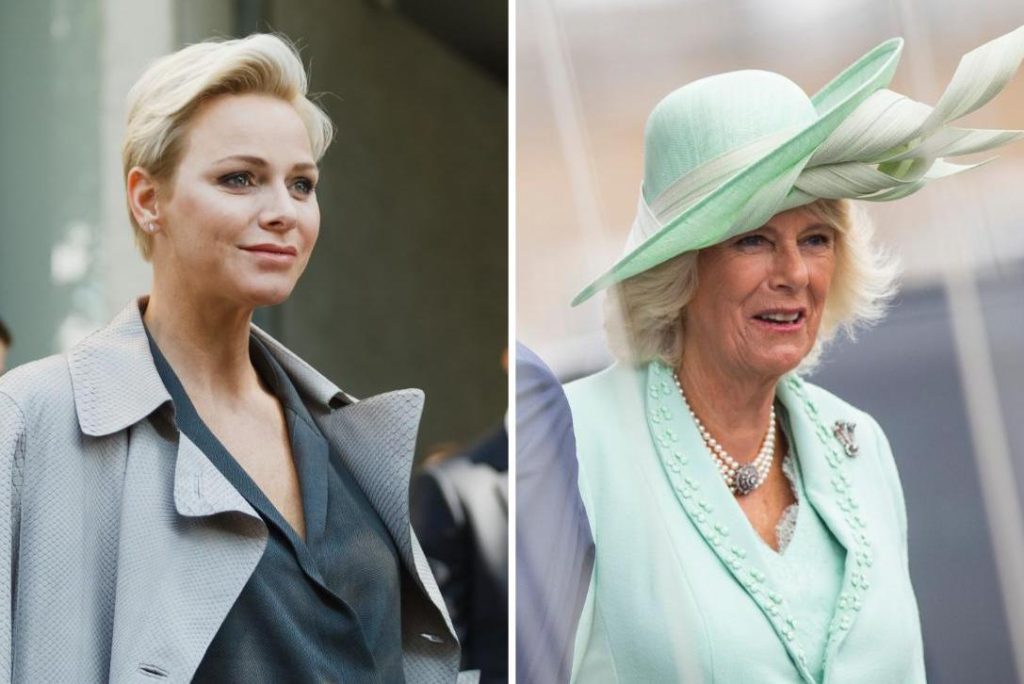 Kings.  Camilla turns out to be a model, Princess Charlene mingles with the tourists and birds of the Norwegian royal family