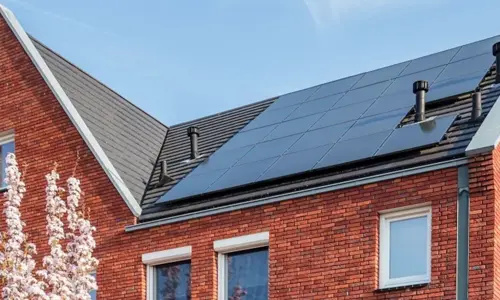 Network operators are again demanding that the netting scheme for solar panels and home battery subsidies be scrapped