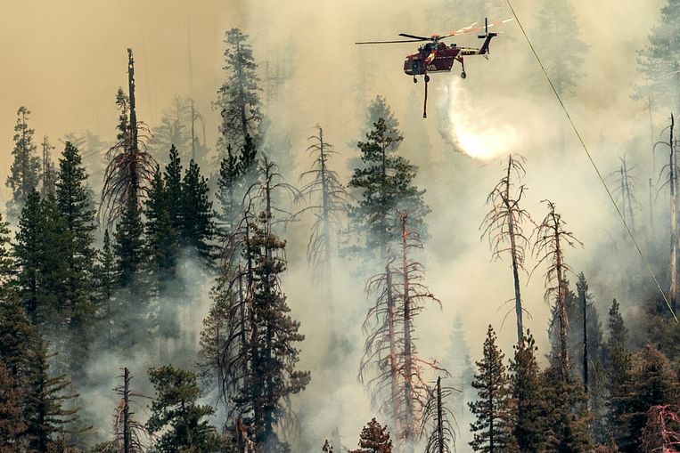 Heat and drought fuel wildfires