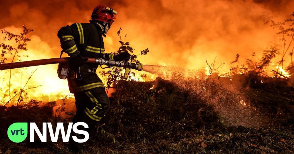 More than 1,000 deaths in Spain and Portugal due to heat and forest fires surrounding the Mediterranean Sea