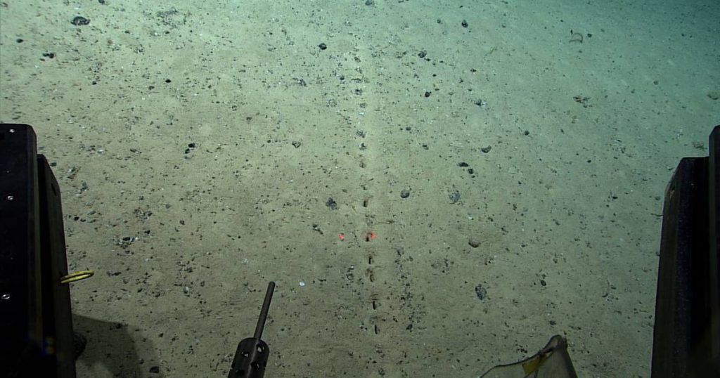 Mysterious holes discovered at the bottom of the Atlantic Ocean and no one knows where they came from |  science and planet