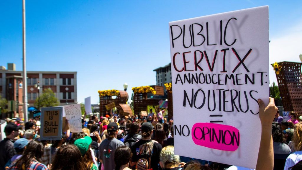 Idaho Supreme Court allows passage of anti-abortion law |  Now