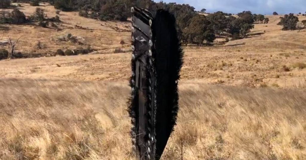 Suspected piece of SpaceX space junk smashed into Australian farmer's meadow: 'Totally burnt tree' |  Abroad