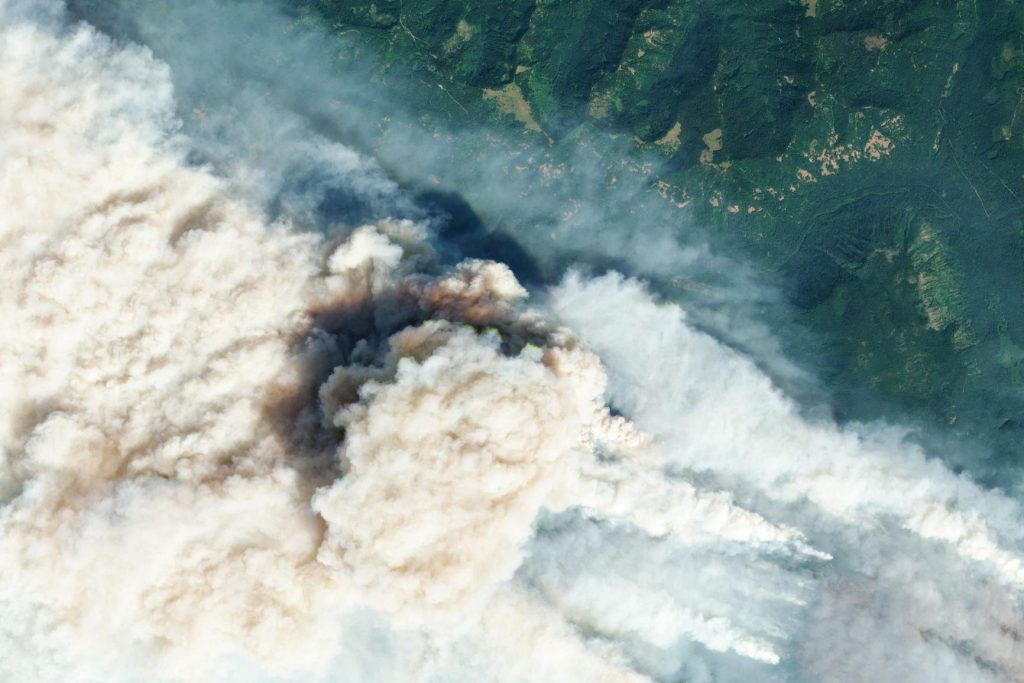 Nearly 37,500 hectares already destroyed: Huge wildfires out of control in US state of Oregon