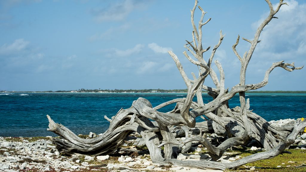 Bonaire is threatened with flooding due to severe climate change