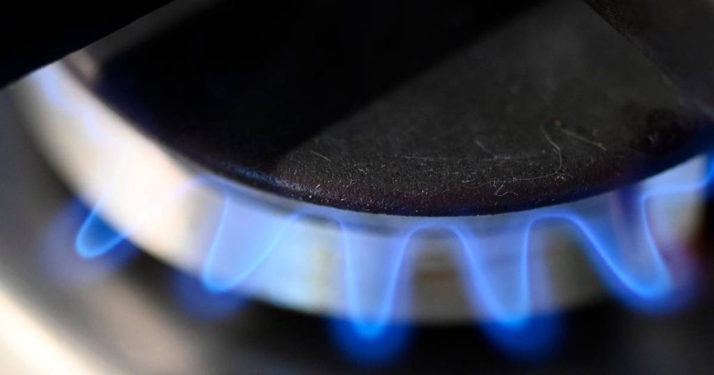 German government agrees to cap gas prices |  Abroad