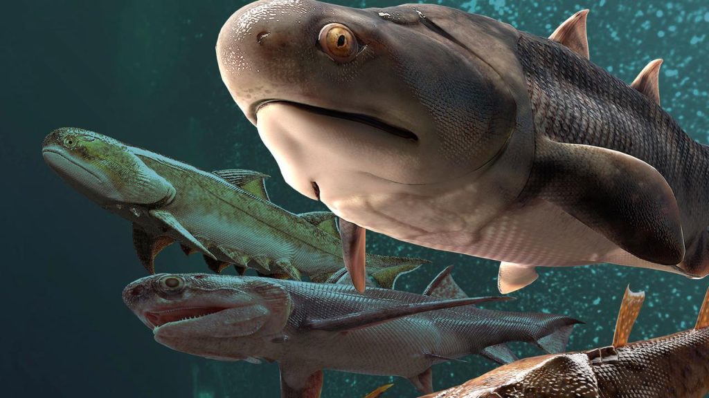 Oldest teeth found in fish that swam more than 420 million years ago |  Sciences