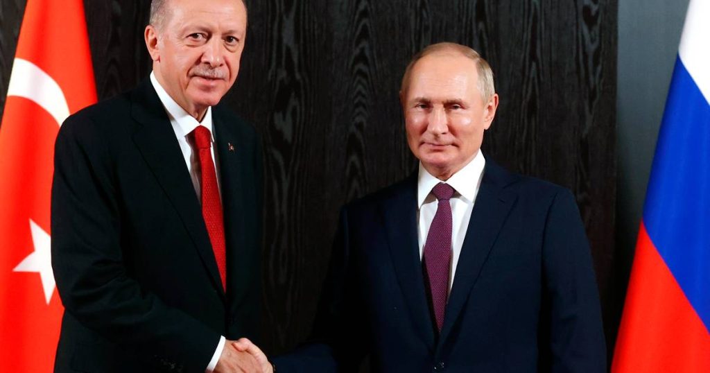 Putin: Turkey pays a quarter of Russia's gas imports in rubles |  Abroad