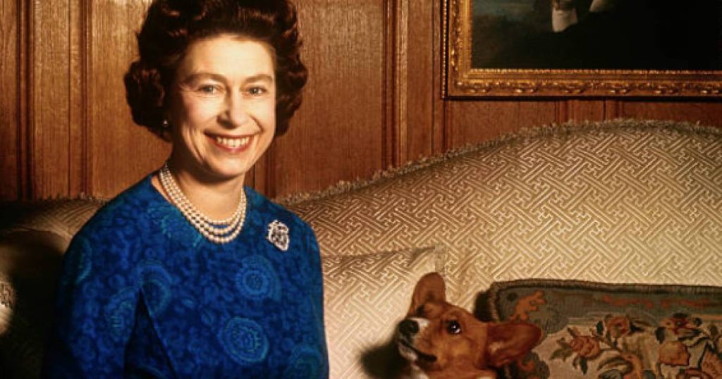 Royal Corgis Weren't Typical Pet After All: 'They Had A Postman's Member And Even Picked Up The Queen' |  Queen Elizabeth II passed away