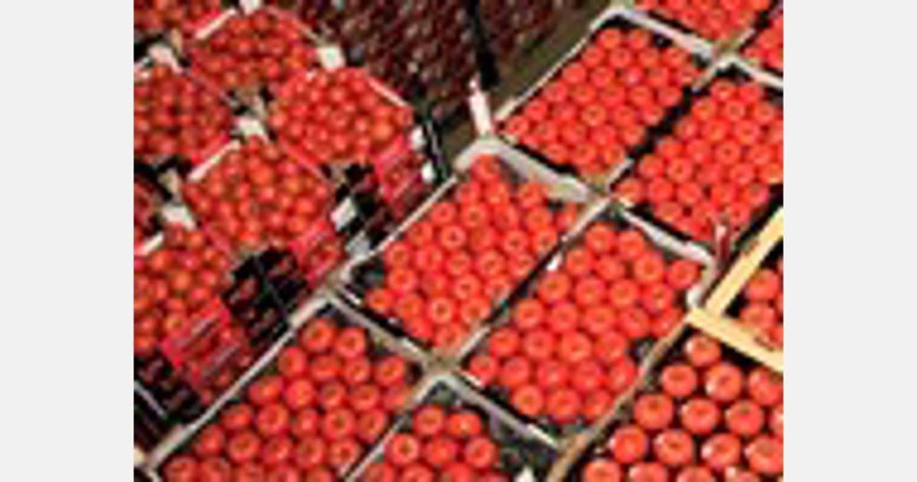 The United States, Germany and France together account for 38% of global tomato imports
