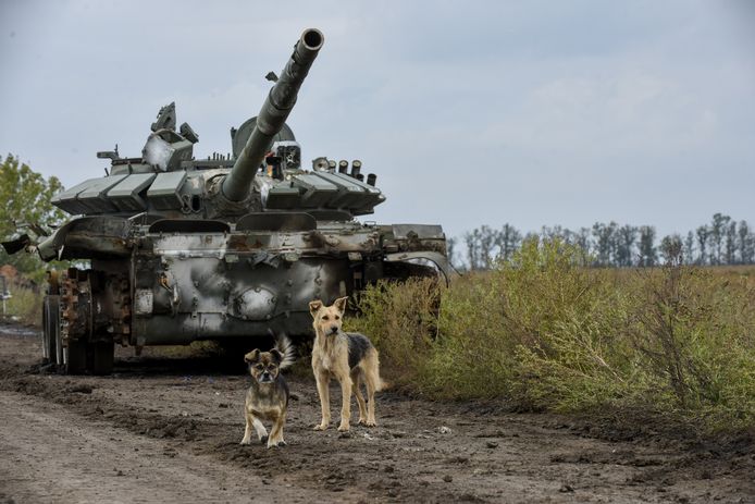 Dogs next to a captured Russian tank in the Kharkiv region.  Photo from September 30th.