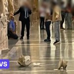 Angry tourist destroys statues in the Vatican Museums because he can’t see the Pope