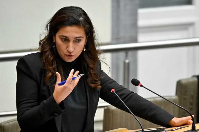 Flemish Minister Demir does not want Fluvius to increase the energy bill by about 40 euros