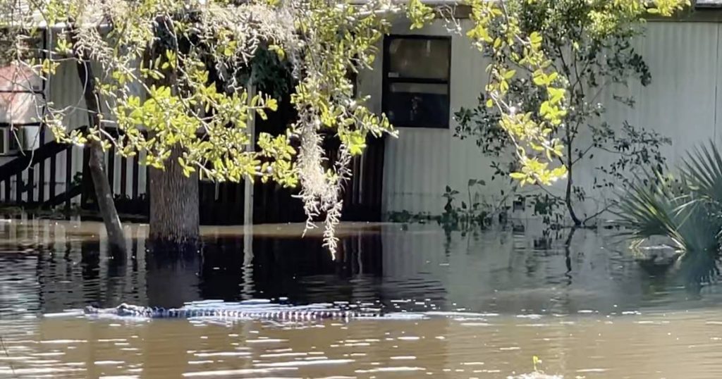 Hurricane Ian leaves a trail of destruction in Florida: 21 dead so far, alligators swim in streets |  Abroad