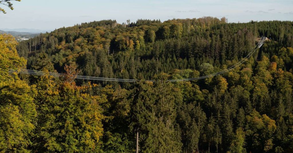 One of the world's longest pedestrian suspension bridges will soon open in the German ski resort |  Instagram news VTM