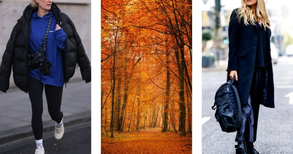 Planned autumn walk?  These 15 bags come in handy when going into the woods |  fashion beauty