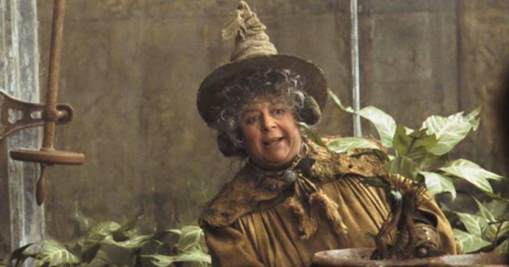 The Actress Who Played Professor Sprout in the 'Harry Potter' Movies Reveals How Little She Earns |  Movie