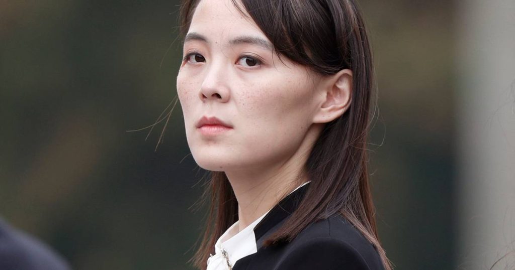 Kim Jong-un's sister speaks harsh language: South Korean leaders are "idiots", "wild dogs" and "larvae" |  Abroad