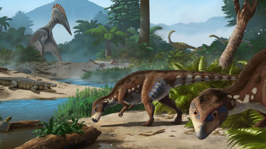 Previously unknown dwarf dinosaur discovered in Romania |  Sciences