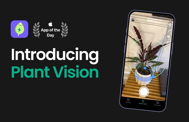 Submit a plant vision!