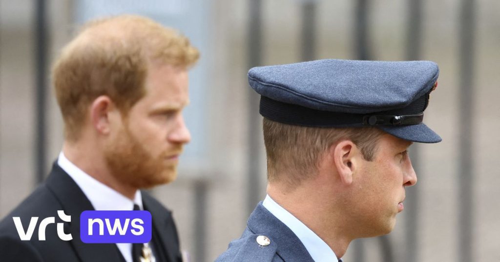 Britain's Prince Harry slams his brother William in a Netflix documentary: 'His yelling and yelling at me was scary'